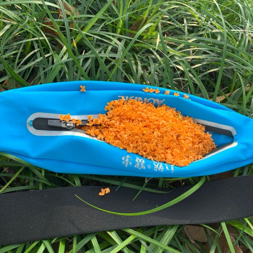 说白了我了白说