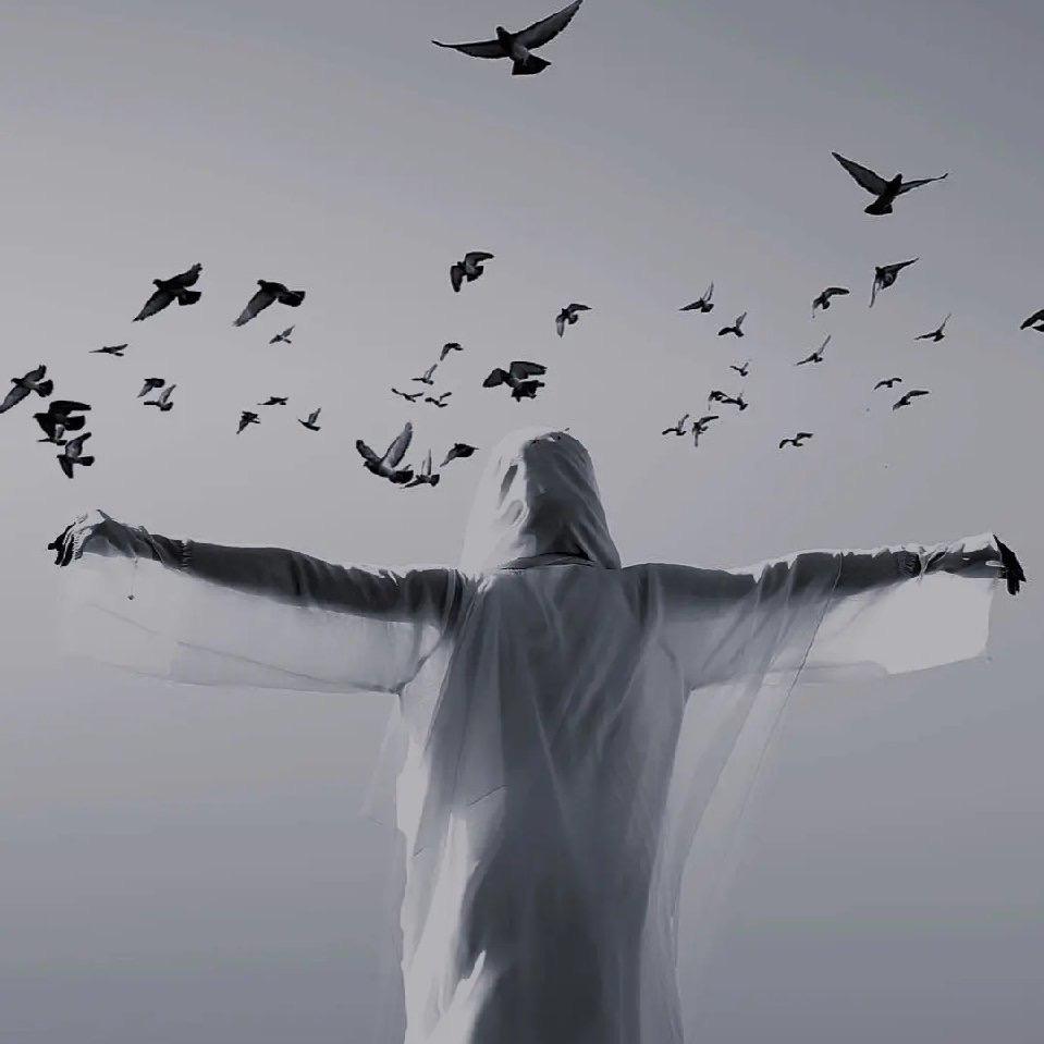 有钱能使潘尝槳