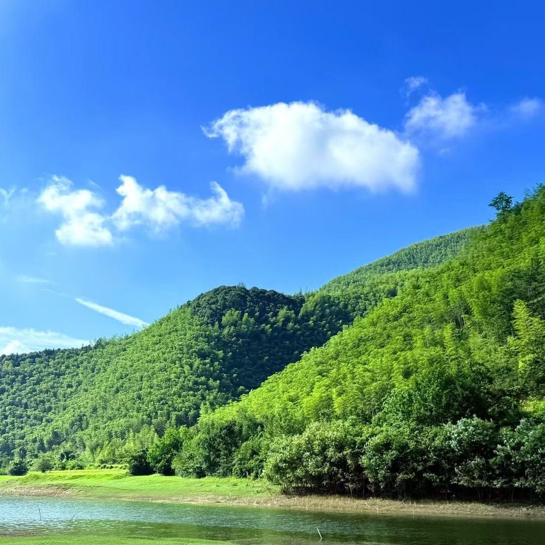☀️蒋莹莹🍀