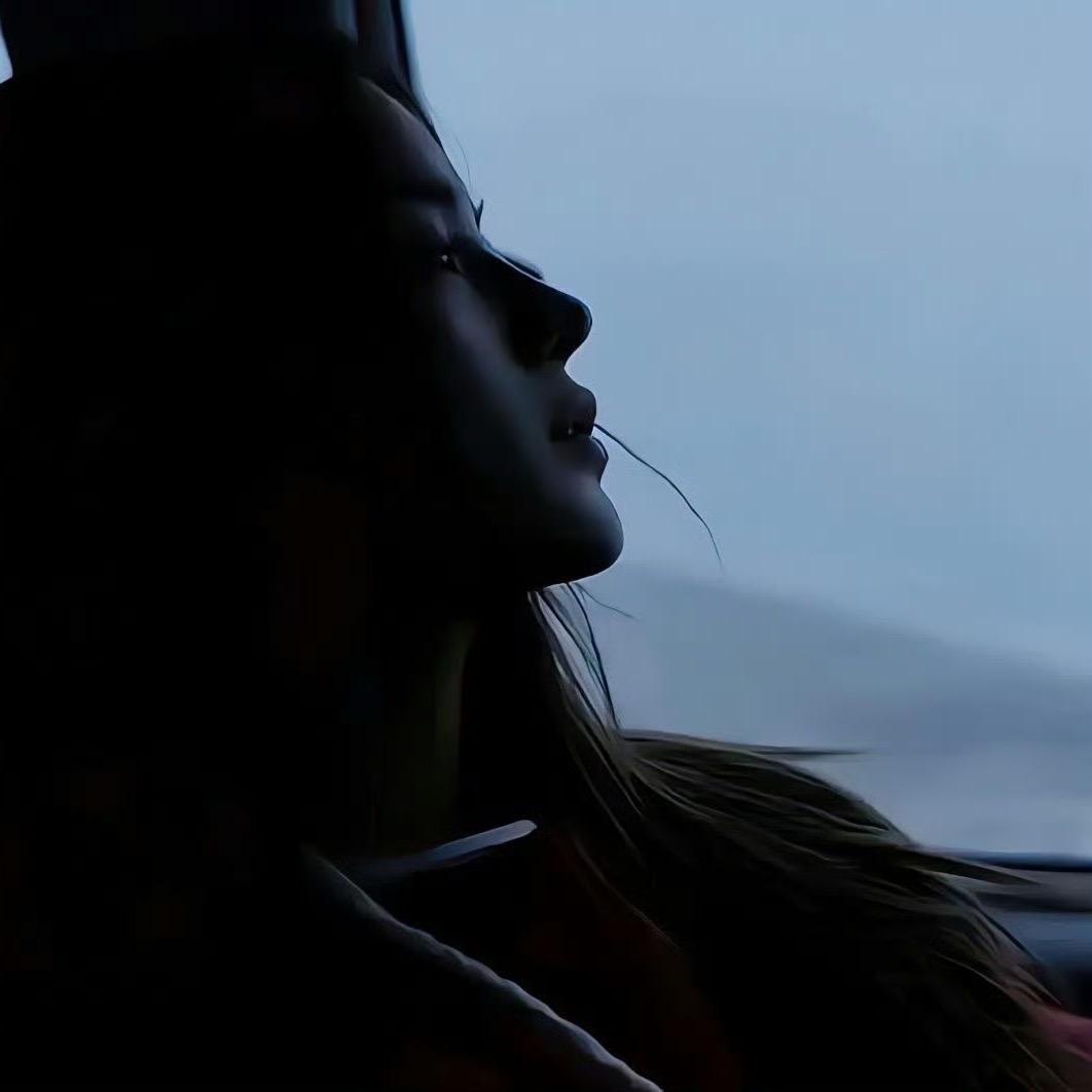 苏苏（比亚迪打工版）