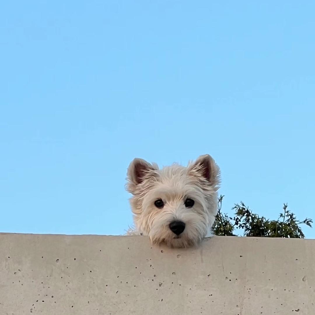 迪桑娜二七杉杉奥莱店瑶