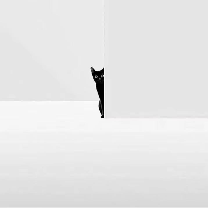 慧慧子💁‍♀️.