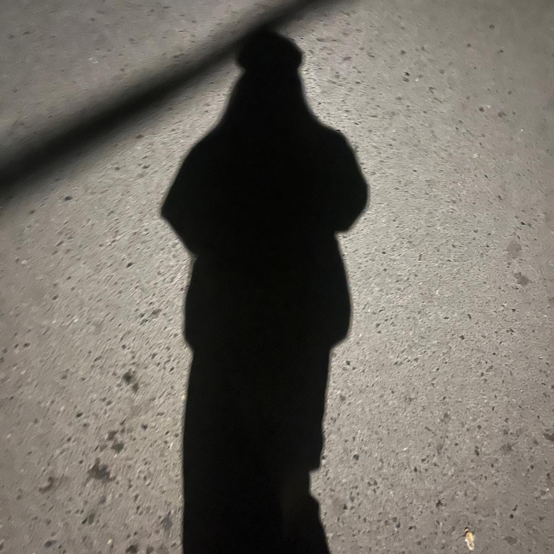 理理Z
