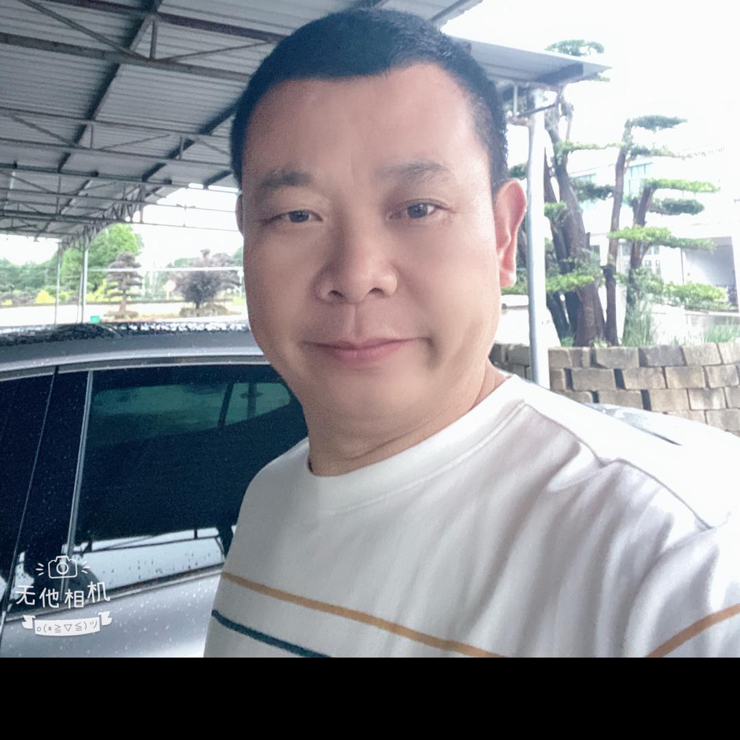 湘海园林造型树