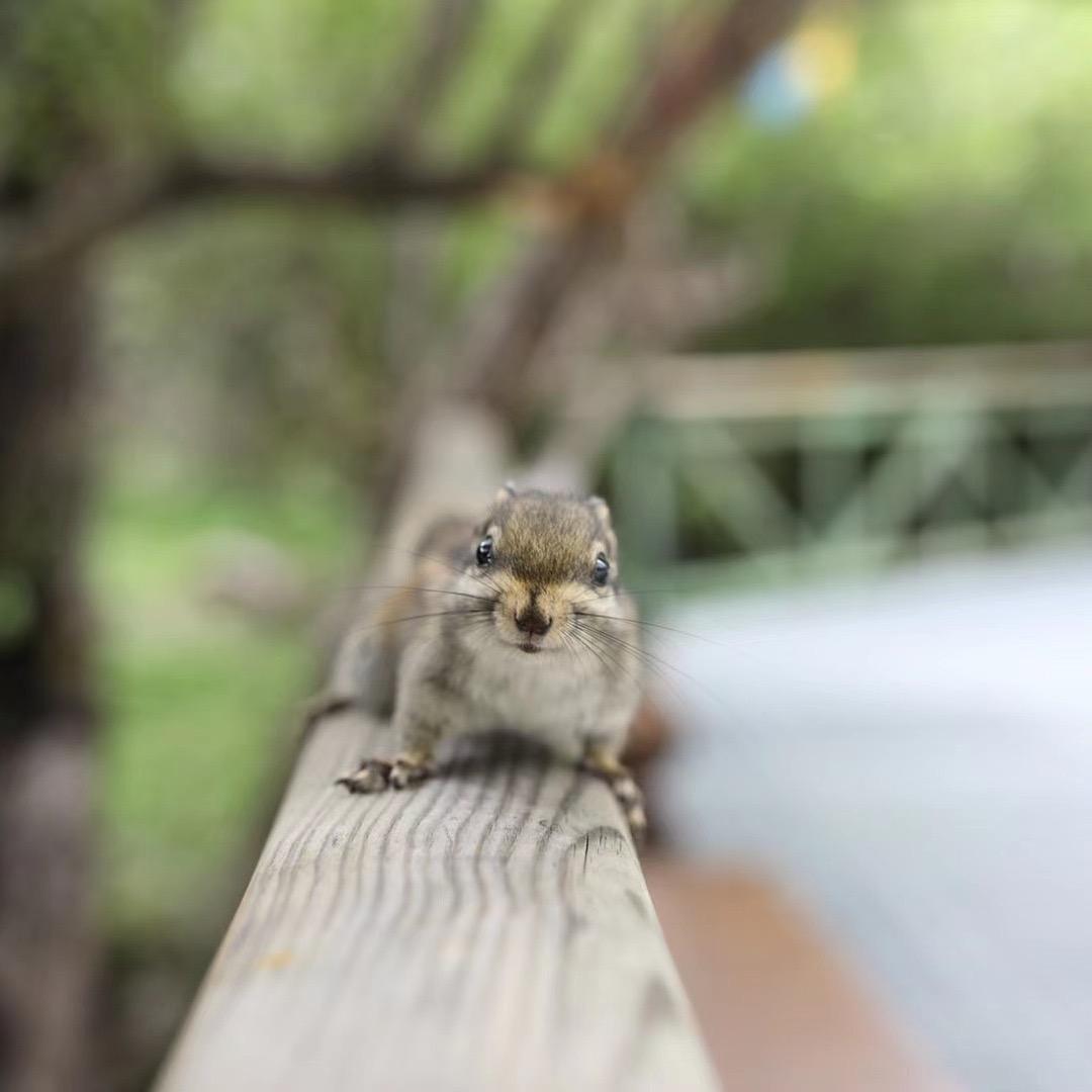 老叔盘串儿