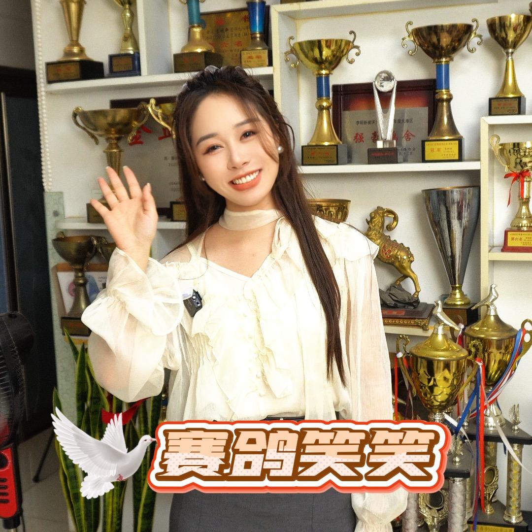 笑笑赛鸽