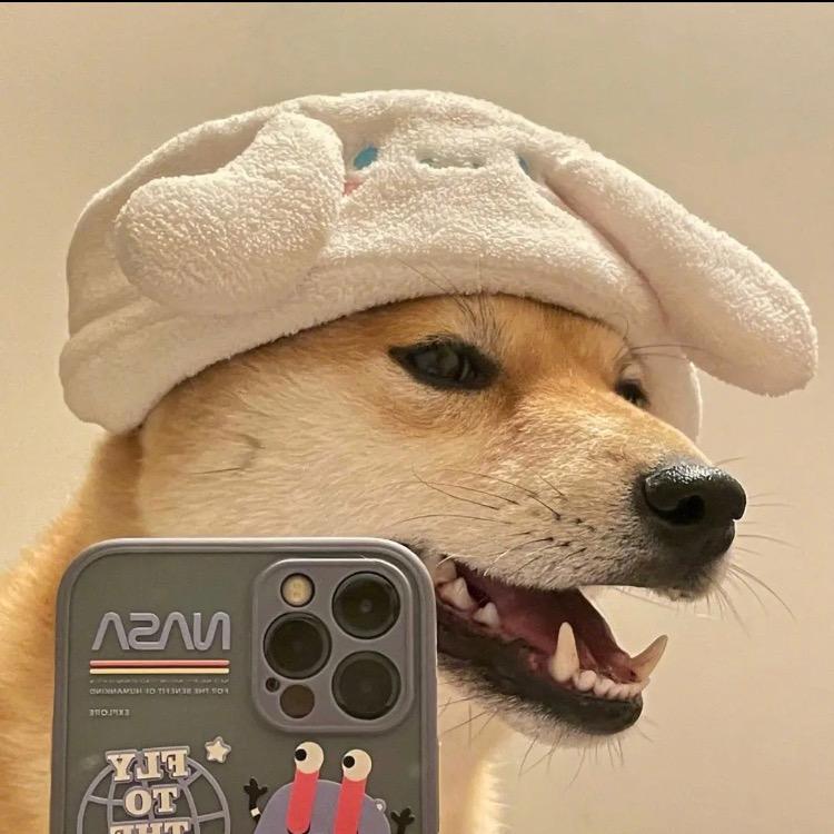 东↔东