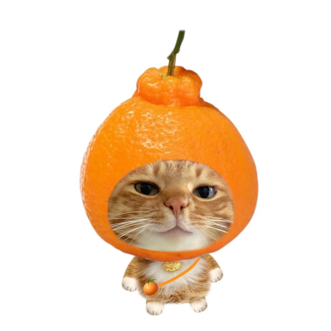 Ivfycc