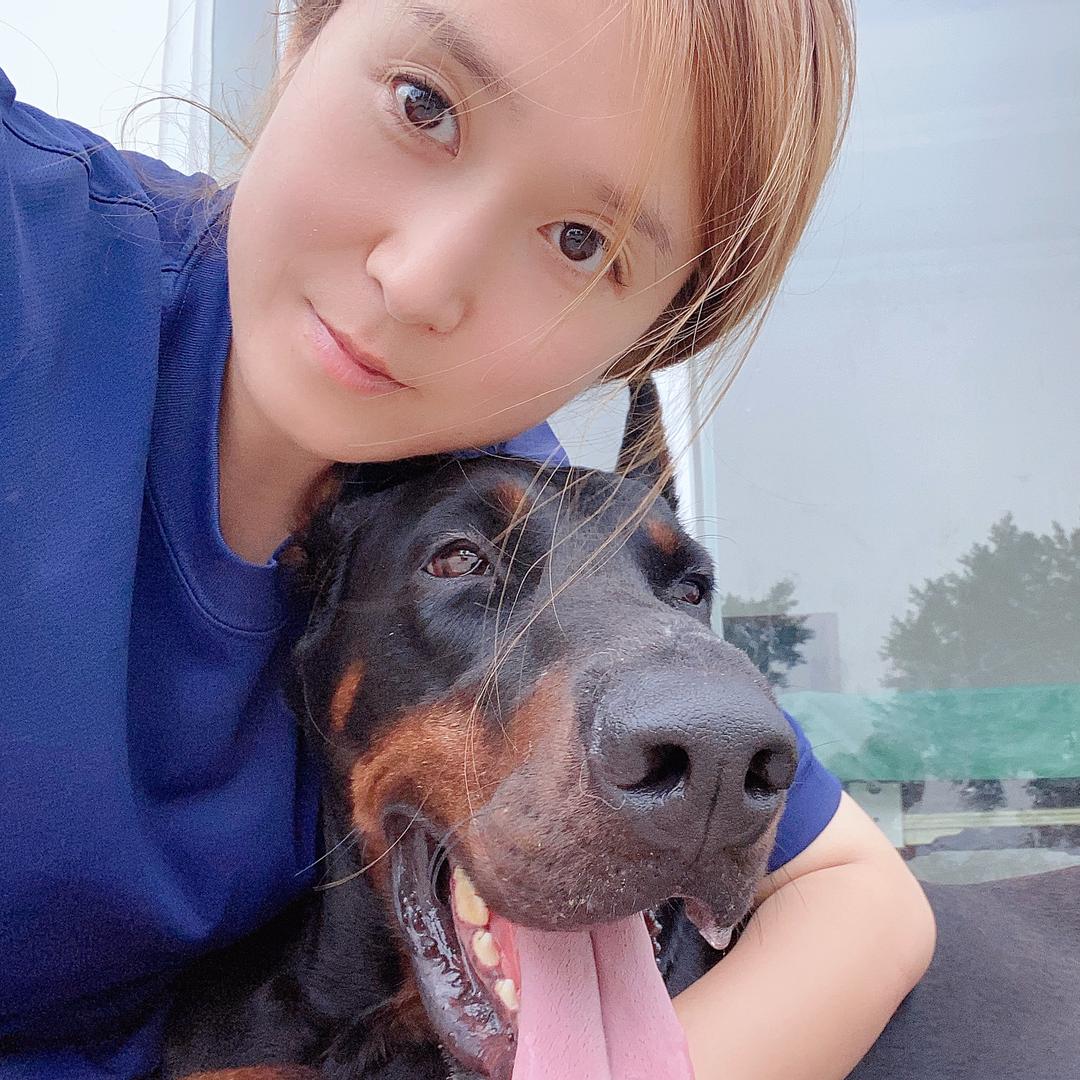 重庆小精灵宠物服务俱乐部官方号