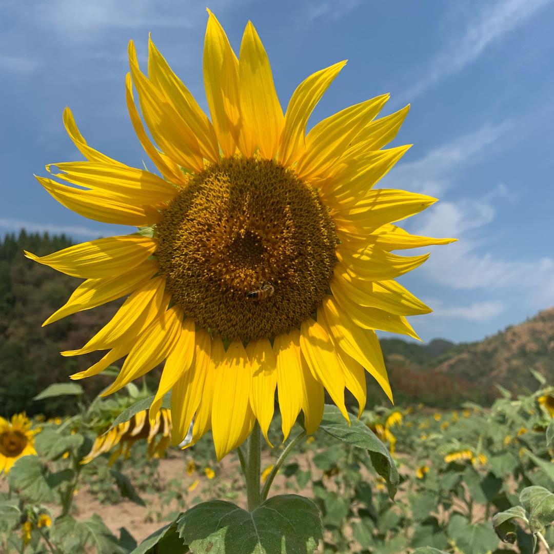溢康头疗养生馆