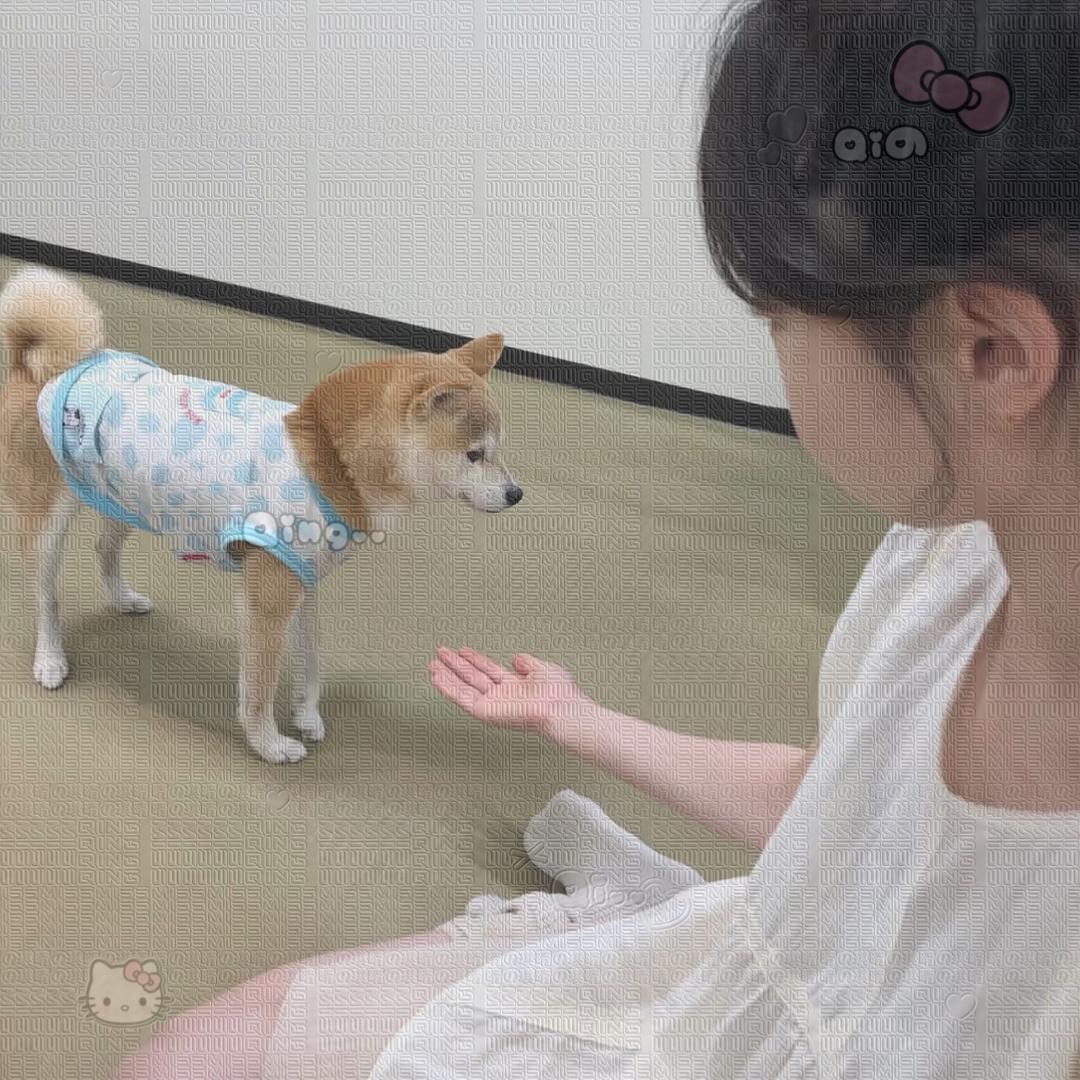 ︍