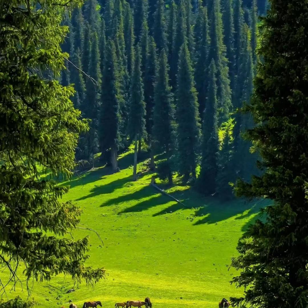 好事多生鲜超市（会展中心店）