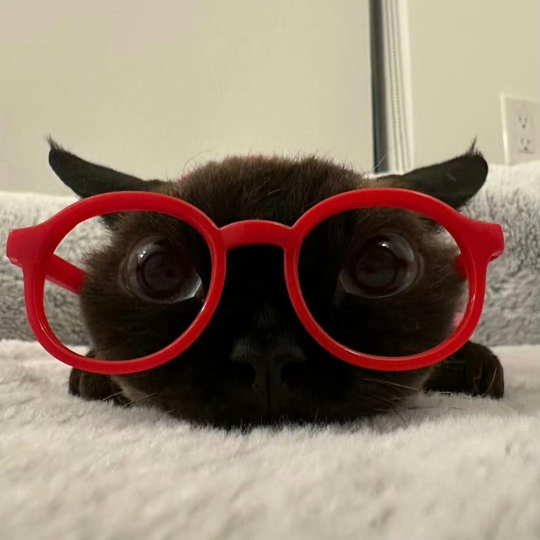 科文学院小灵通