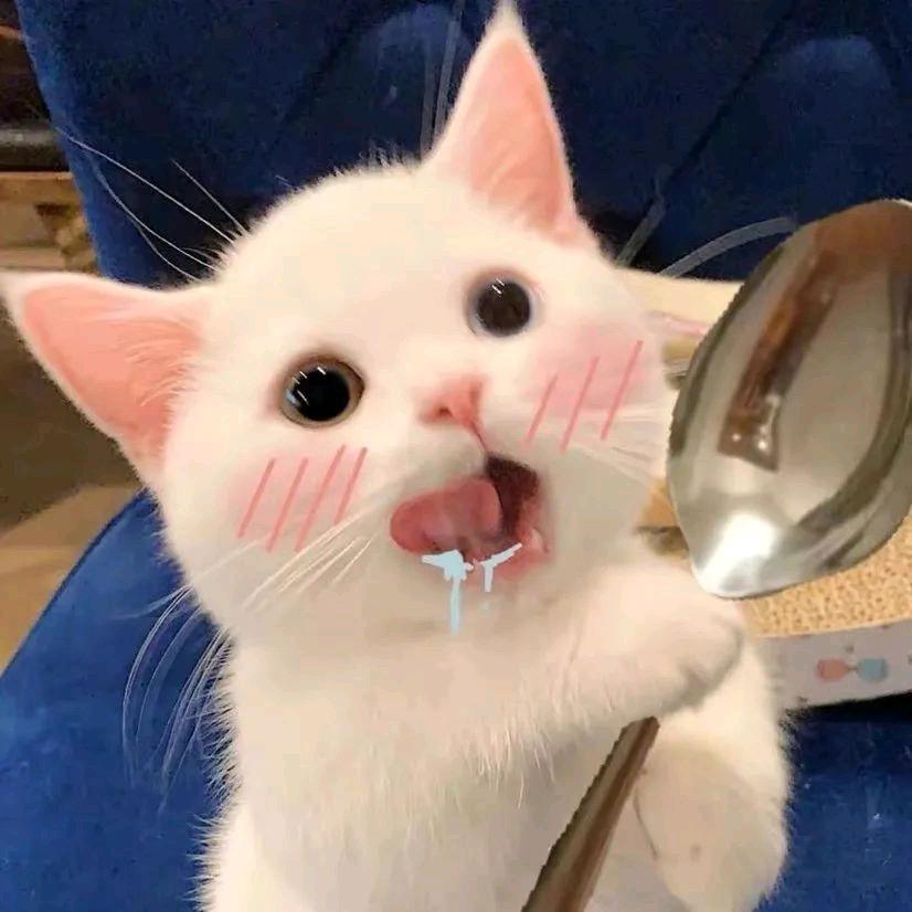 莓烦恼