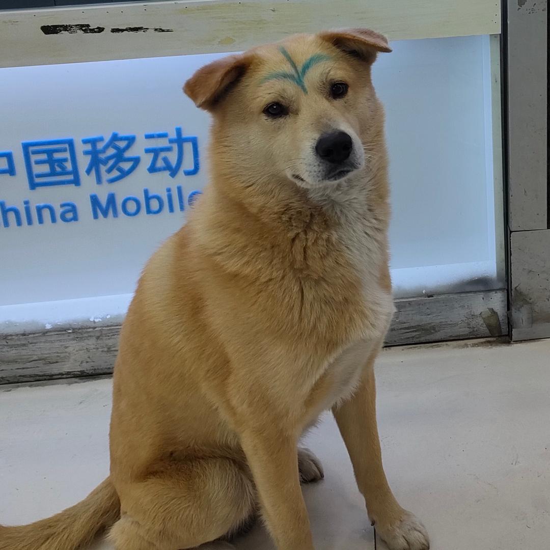 一个小朋友