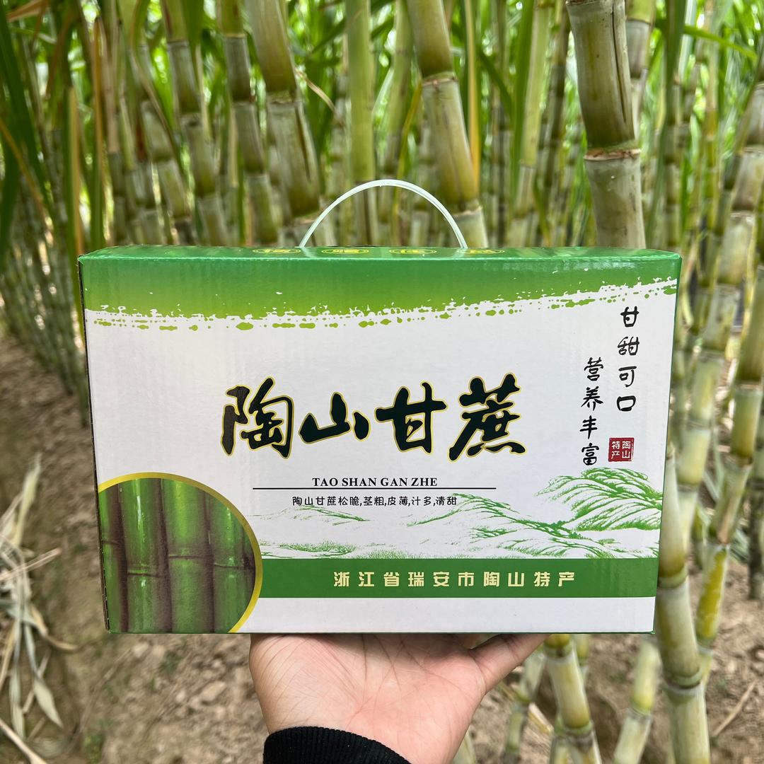 陶山老金家甘蔗