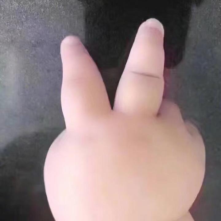 Zc禧推荐