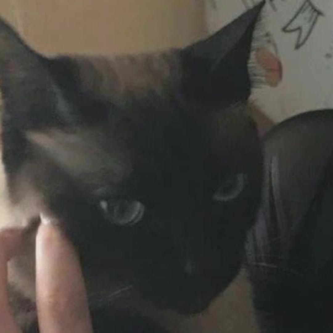 🌈小冯是要开始打扫了嘛🚶‍♂️