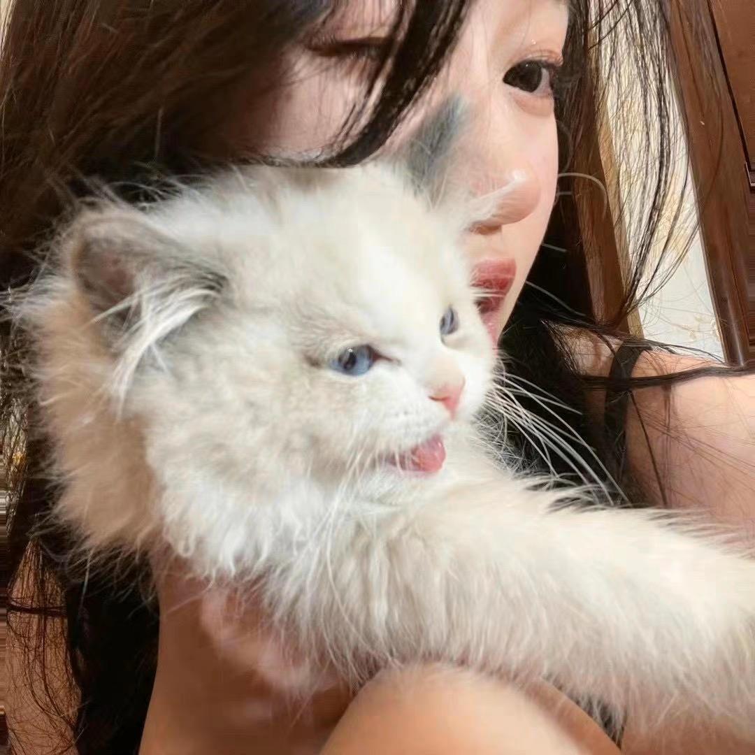 ˗ˏˋ🧡ˎˊ˗ LE .LE