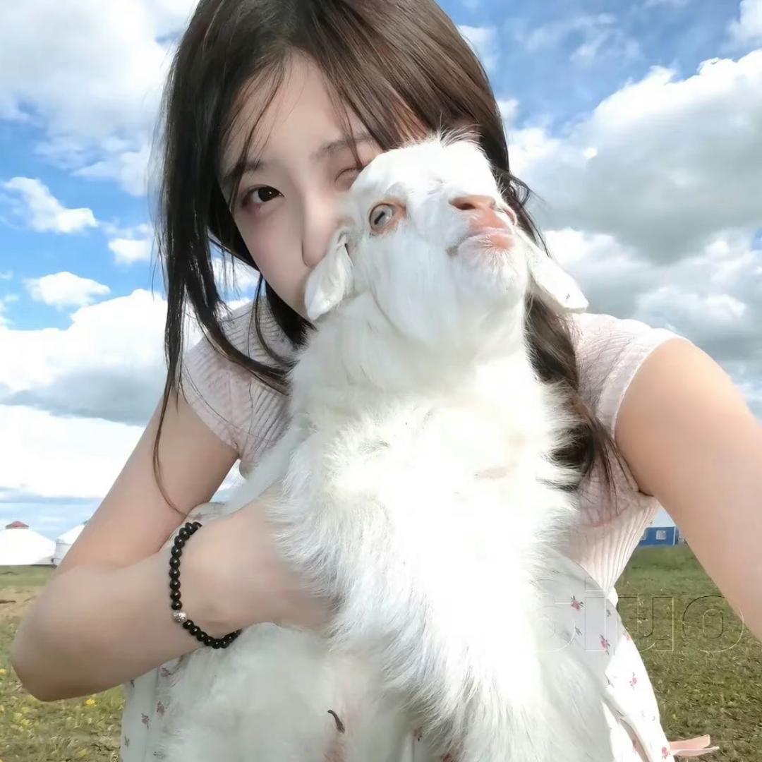 失恋小土豆˃ ˄ ˂̥̥