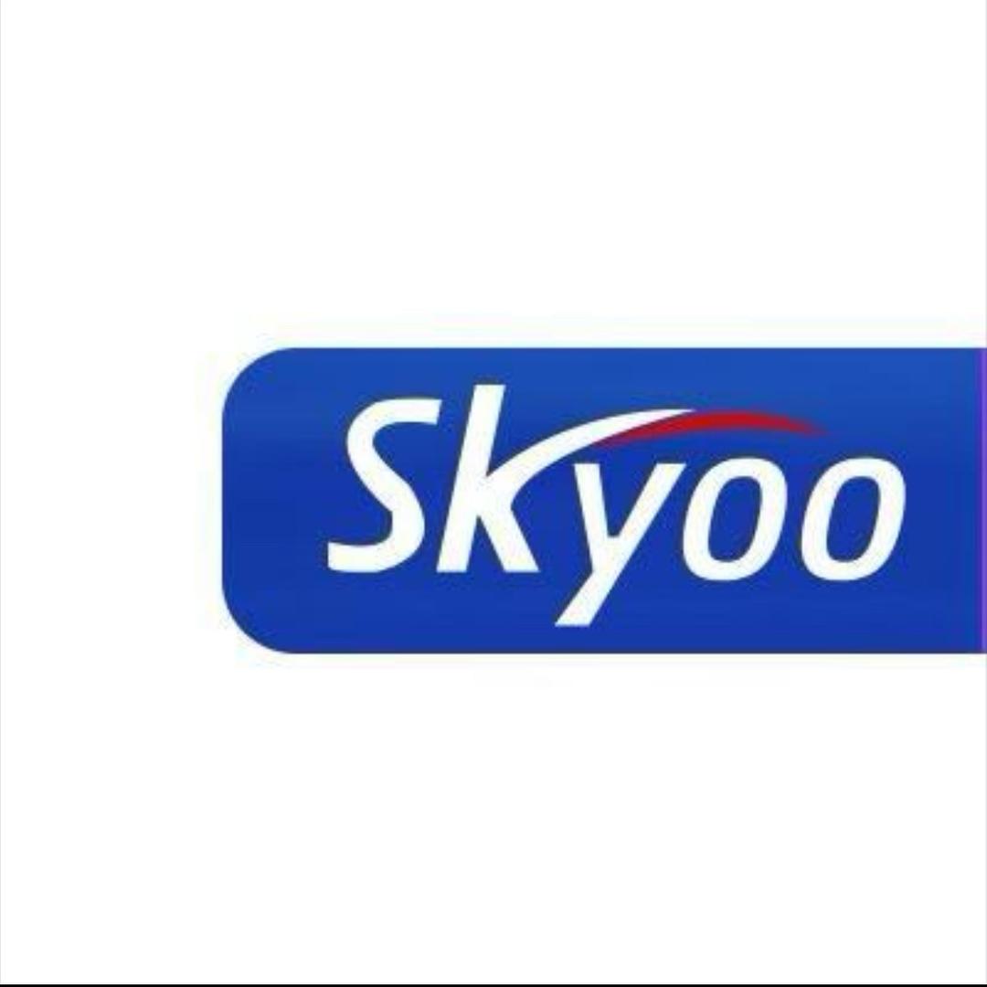 SKYOO美国酸清片