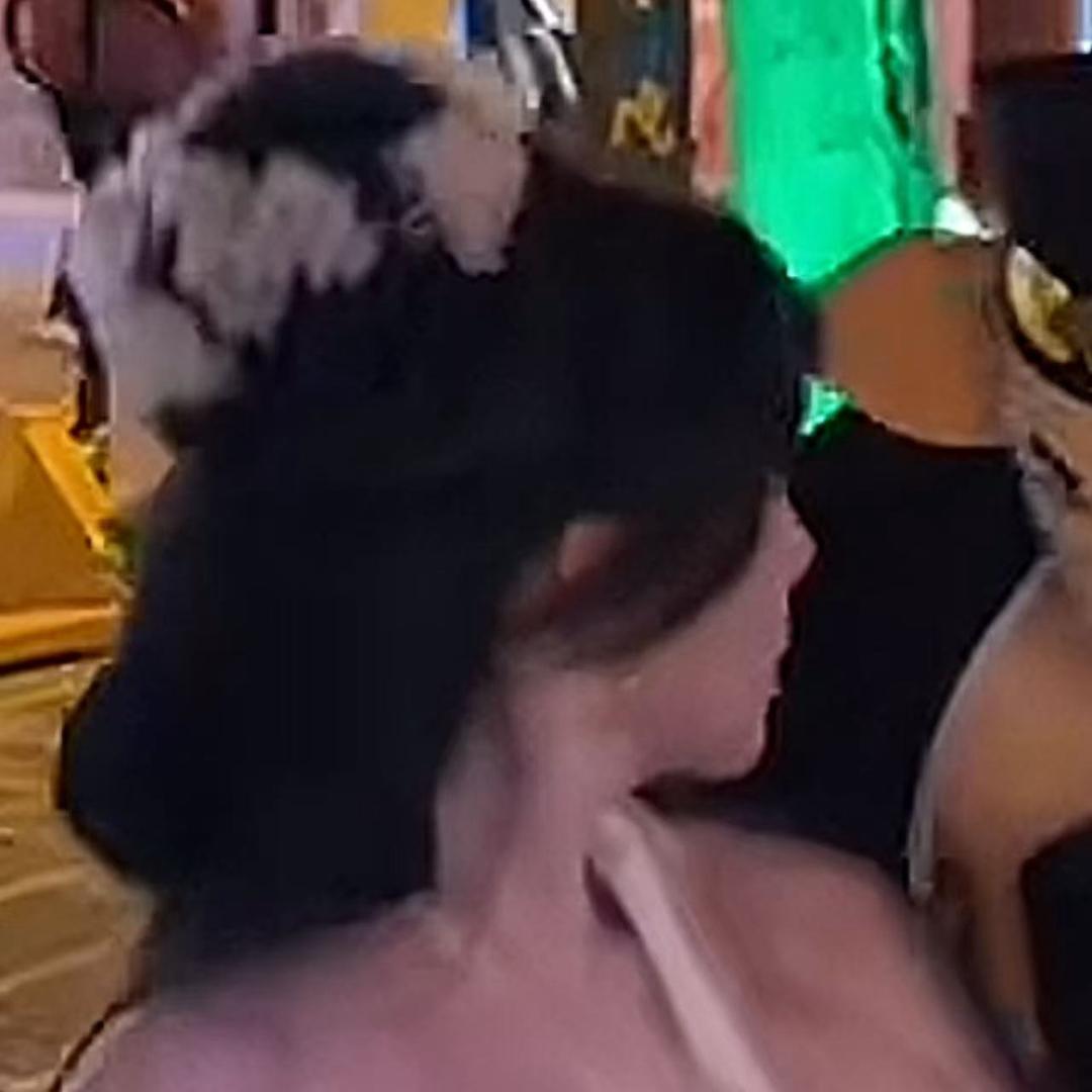 你真油猫冰.🐳