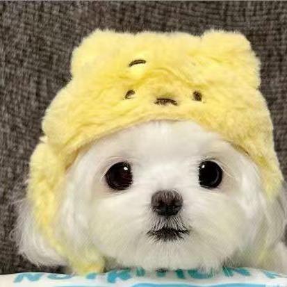 棒棒唐