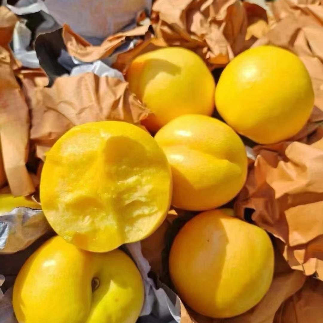 儒清沂蒙特产铺