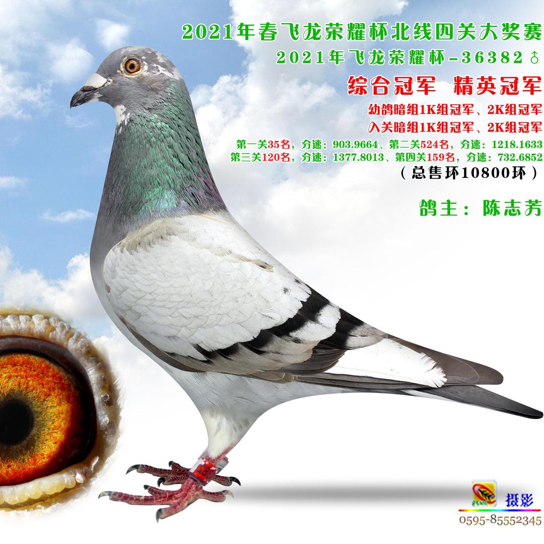 忙碌中…………