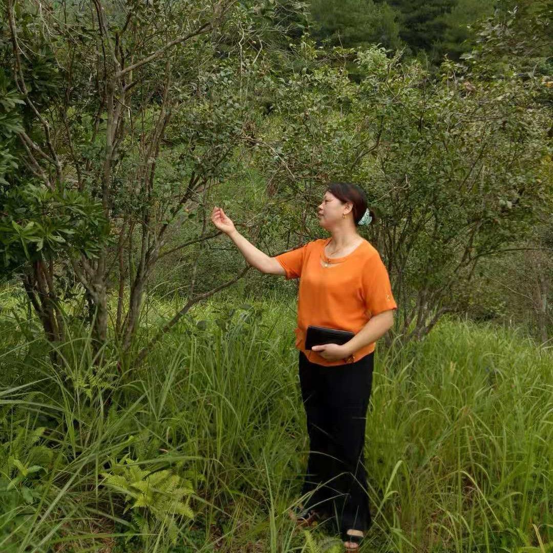 幸福人生（拒绝私聊）请不要连接点赞