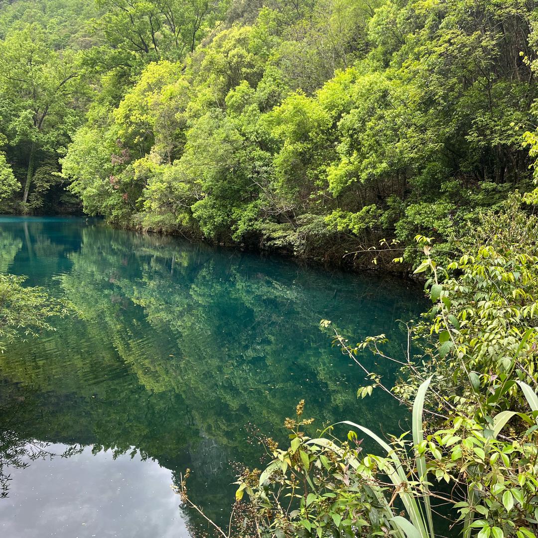 小升初（海拉尔）