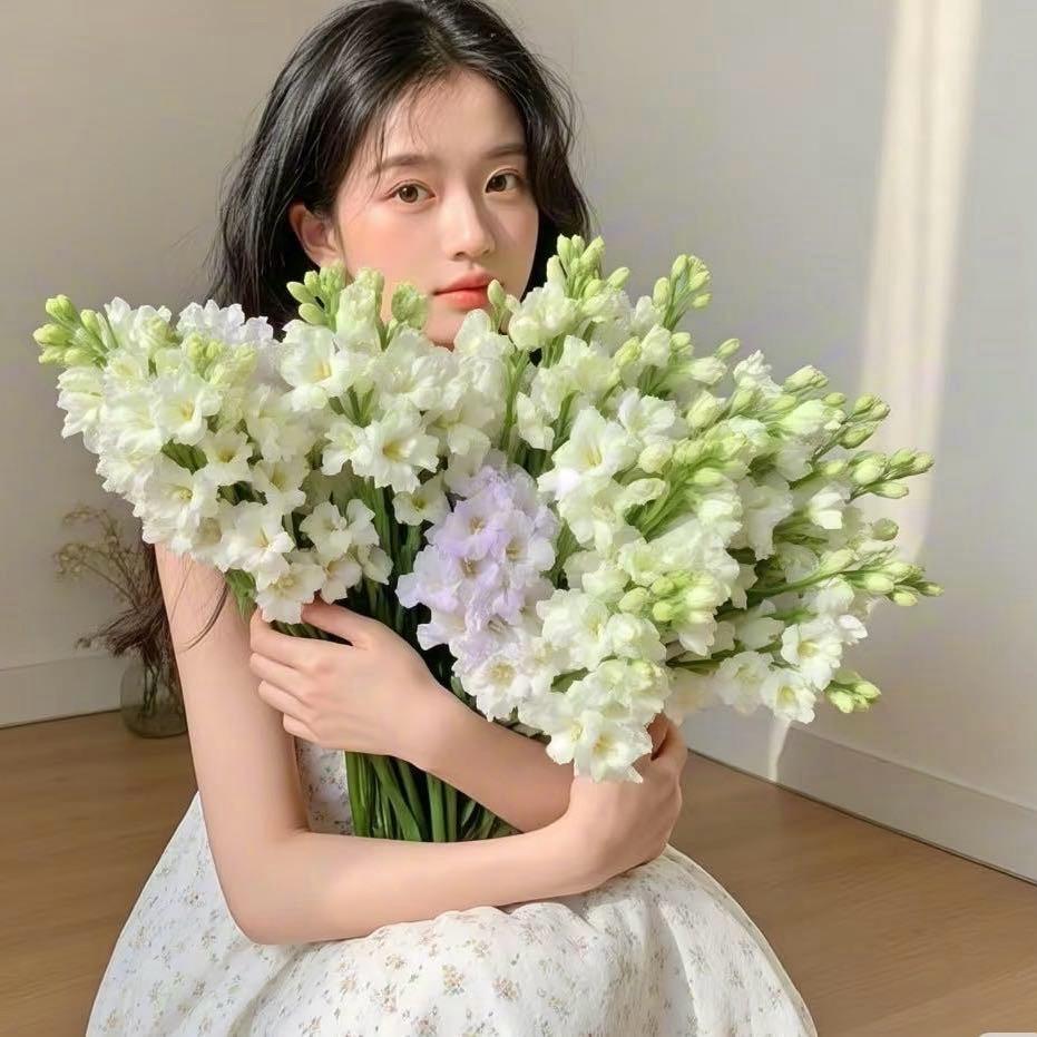 在滑县教画画的鑫鑫老师