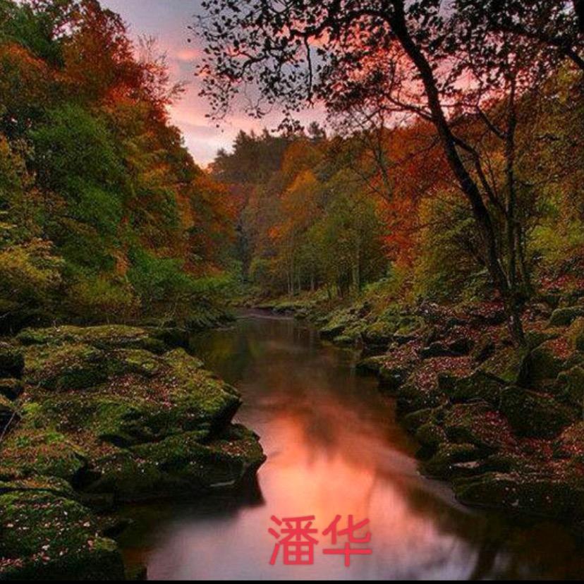 感恩舍得