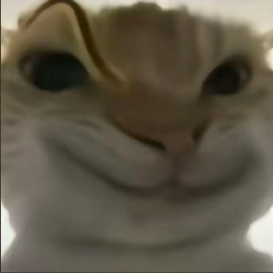 阿垚（三角洲跑刀）