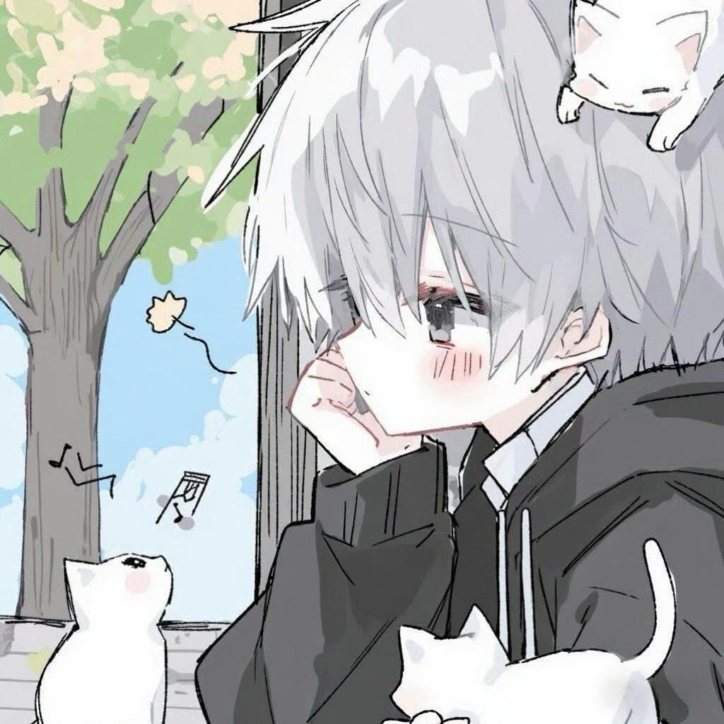 拨开云雾见日落📷（接单版）