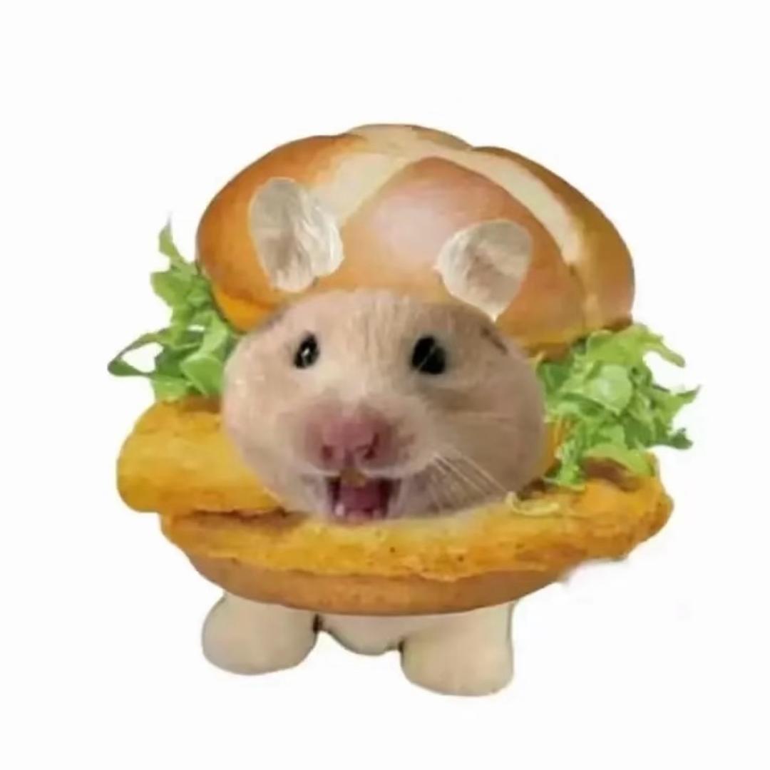 困困玉米挞🥯