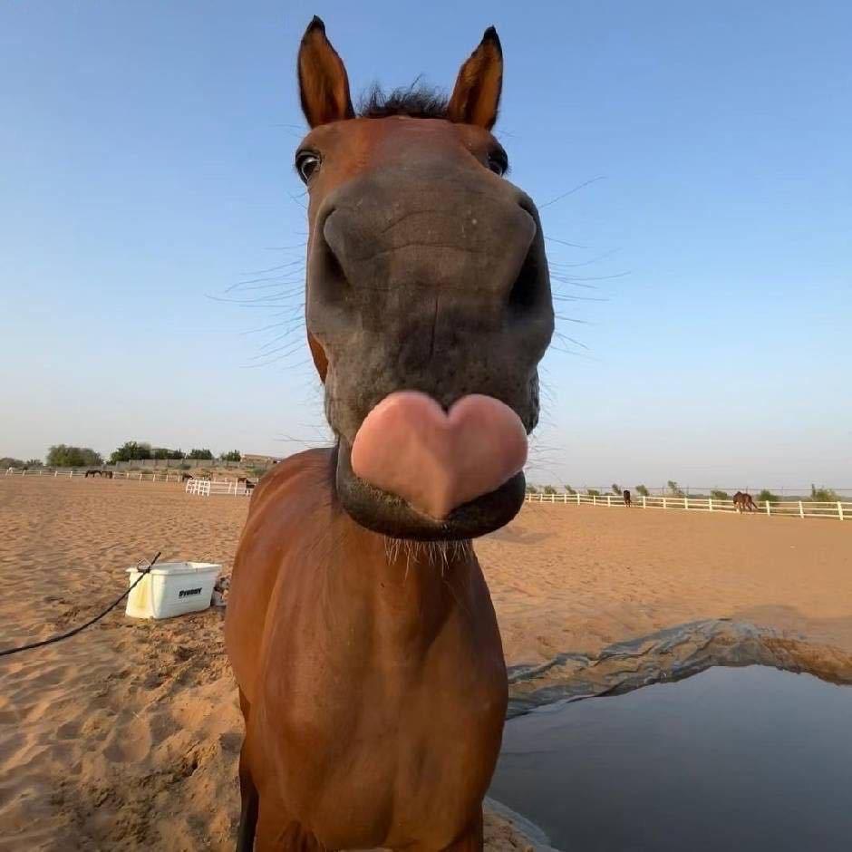 一辈子吃不上肯德基