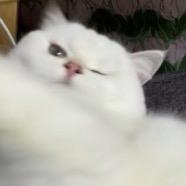 宇宙中心是肚脐眼儿