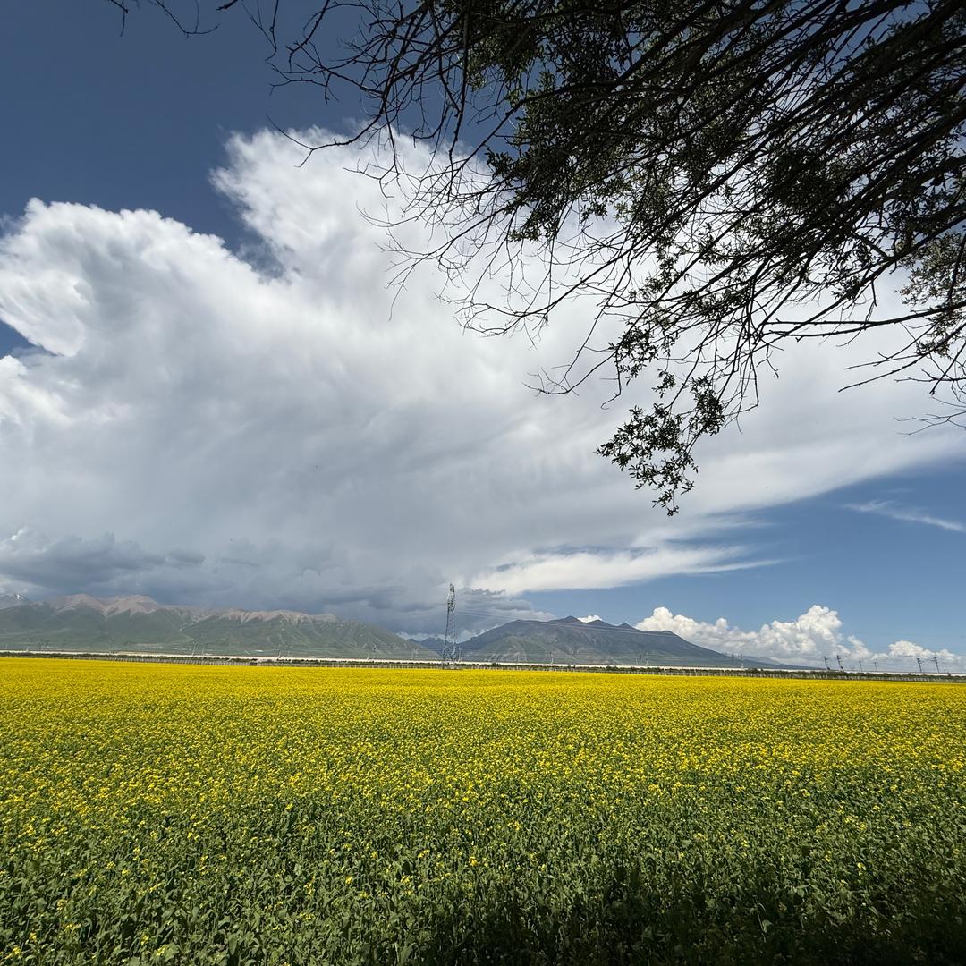 丑女无敌🎈🎈