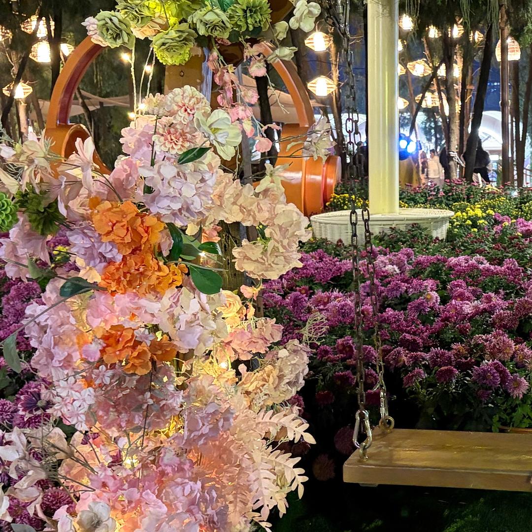 好柿花生🥜₍˄·͈༝·͈˄*₎◞ ̑̑