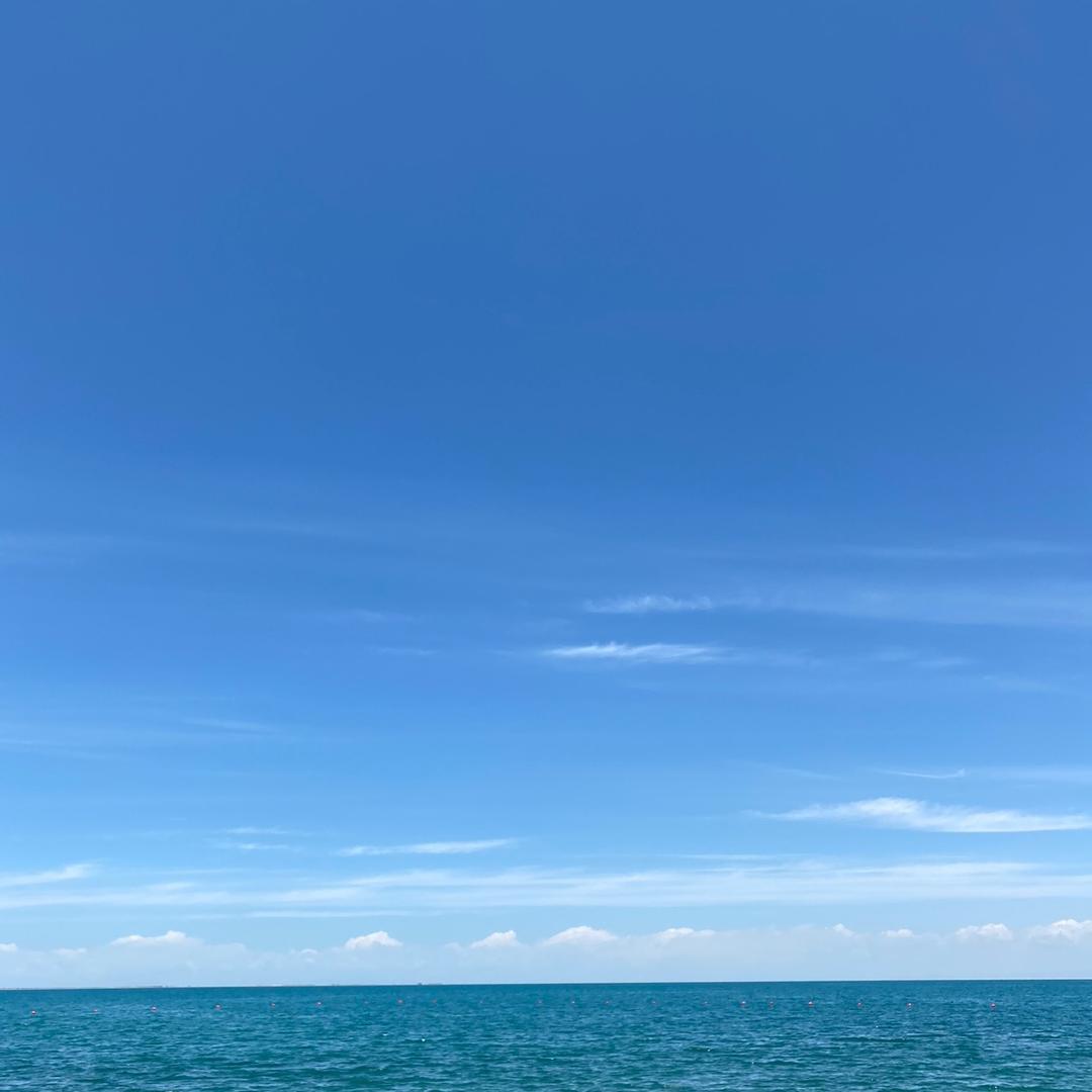 真费了