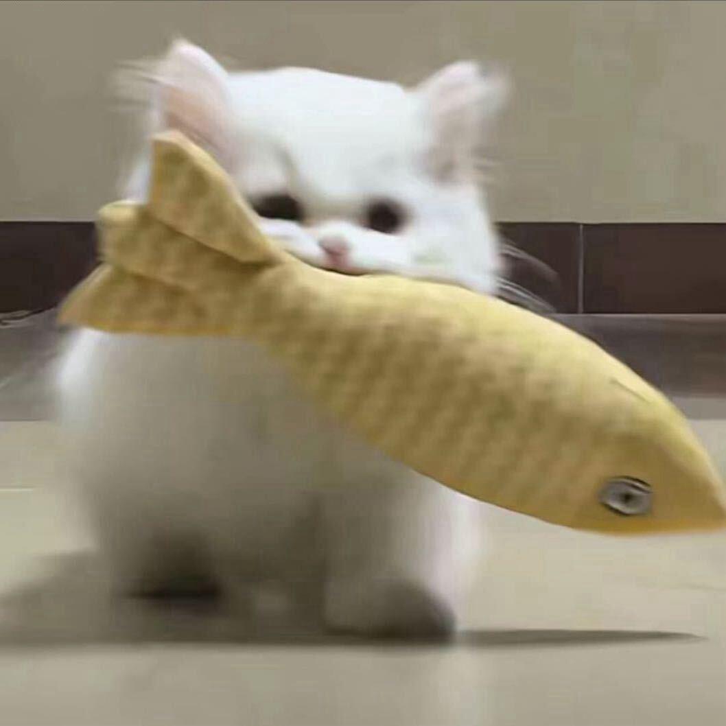 小七