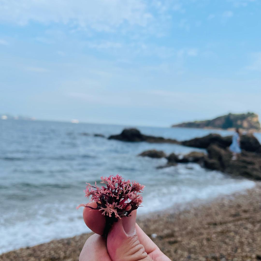 小土豆叔叔
