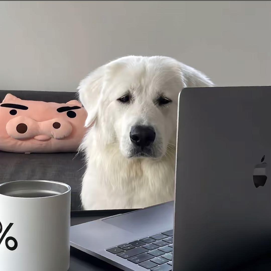 zoz