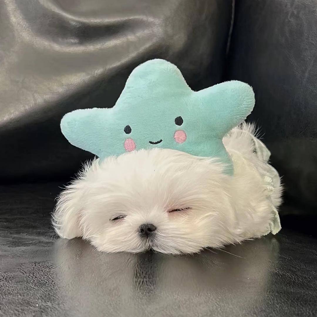 一个张张包