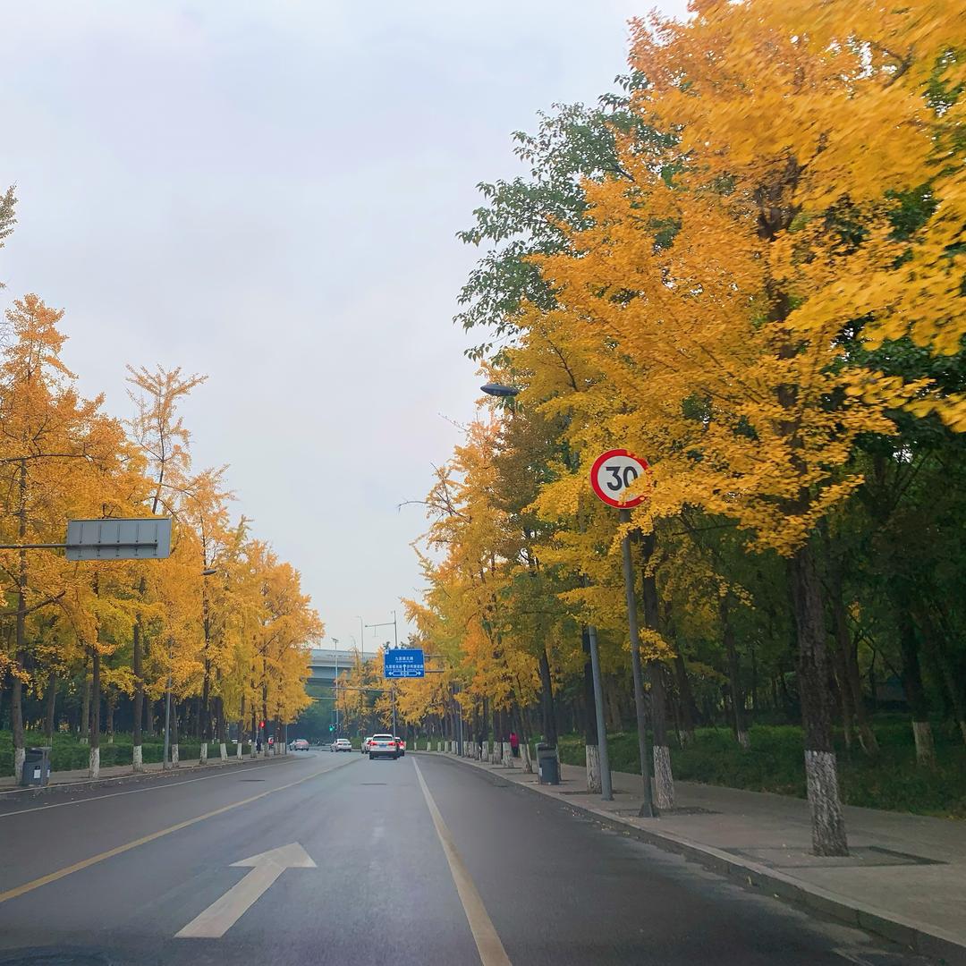 你工作怎么样？