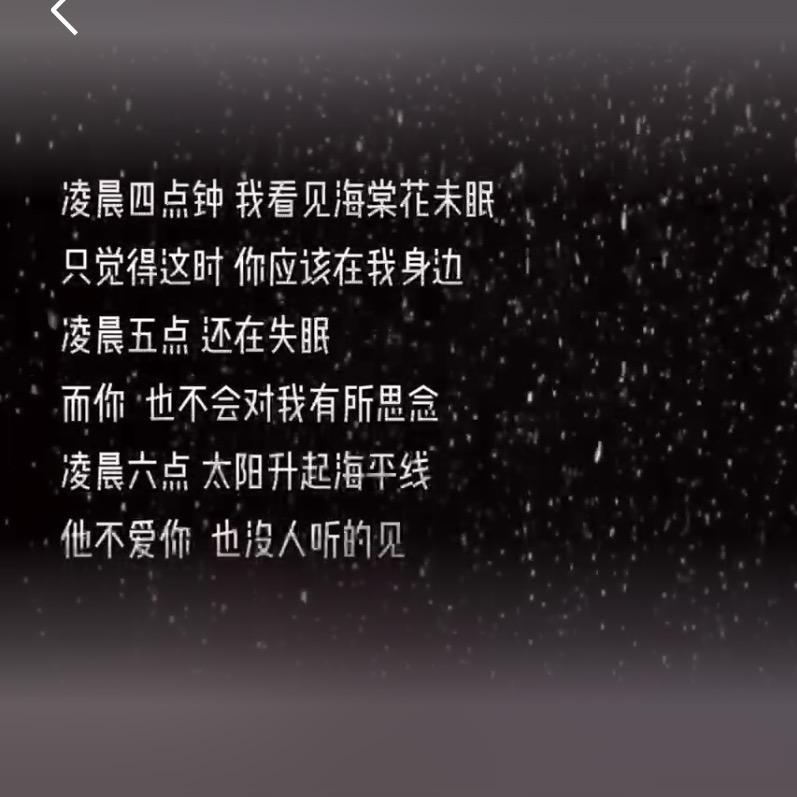 梦里花落知多少.C