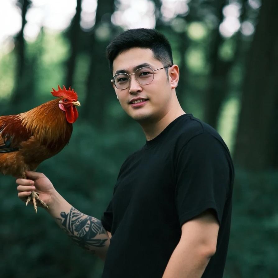 小陈的鸡会