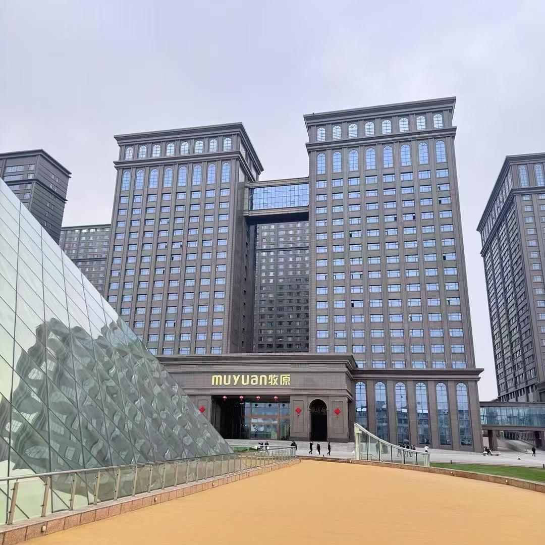 冷链供应链—张经理