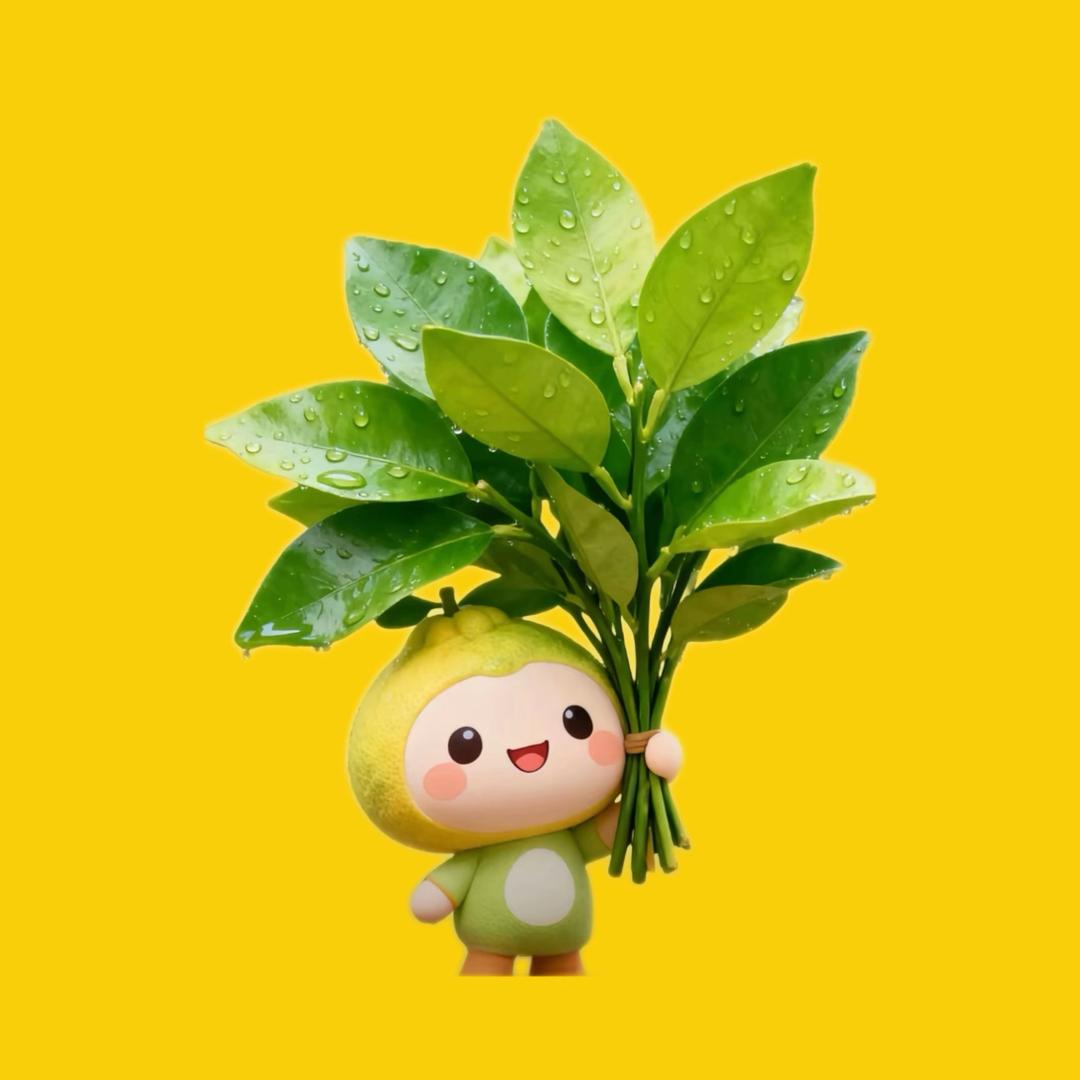 恰是飞鸿踏雪泥